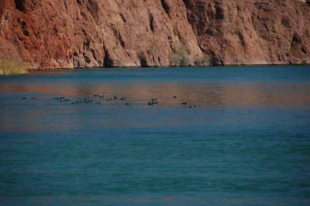 Topock Gorge